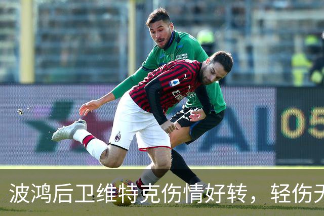 波鸿后卫维特克伤情好转，轻伤无需担忧